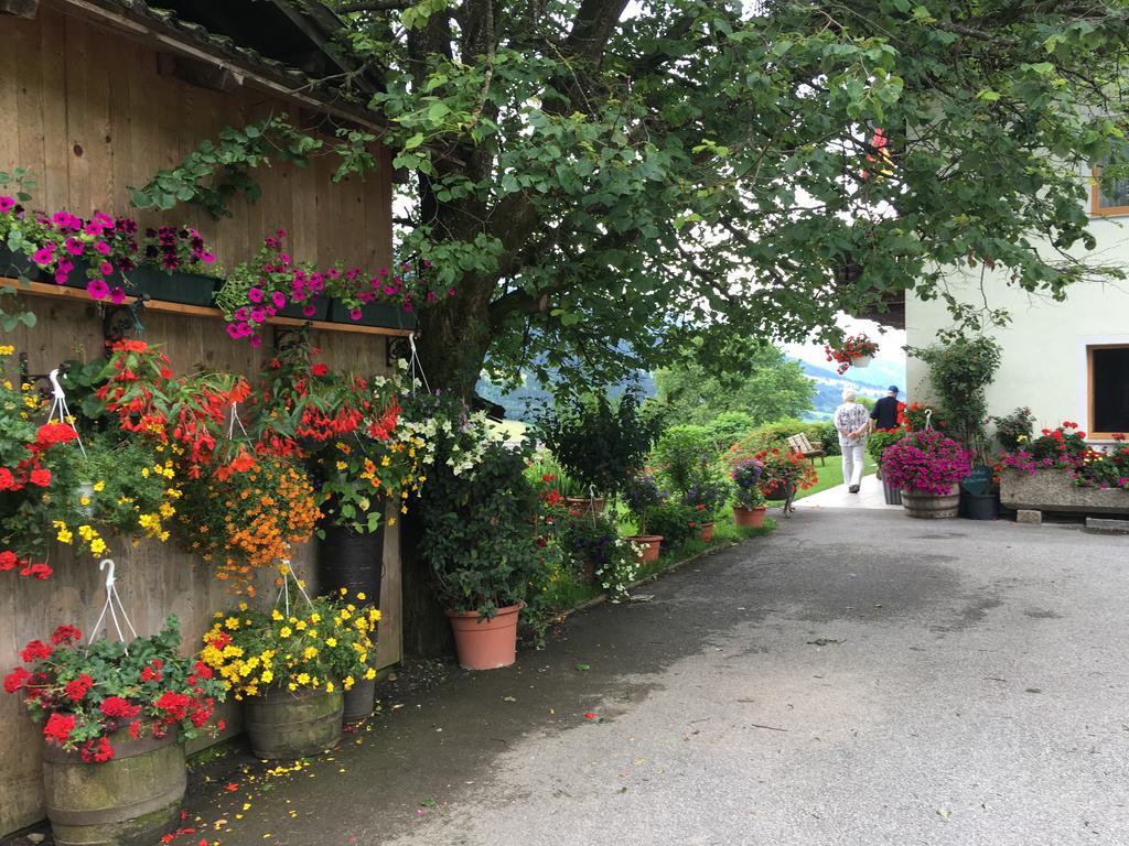 Apartment With Garden Garden Furniture Bbq Taxenbach Exterior photo